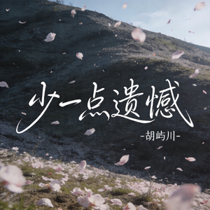 少一点遗憾