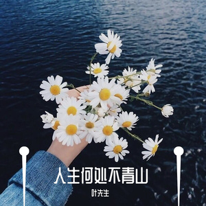 南风北巷（翻自 邵帅）