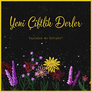 Yeni Çiftlik Derler Çölün Düzünde (Yayladan mı Geliyon?)