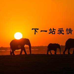 想你的话就想吧