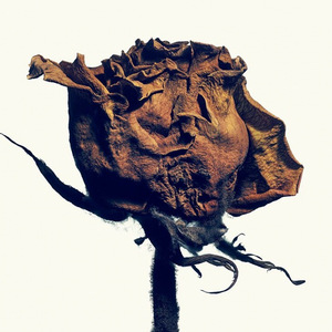 Eventual（Instrumental)