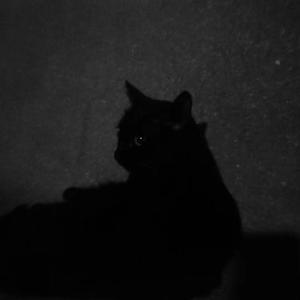 只是太爱你(粤)（翻自 胡芳芳） 伴奏