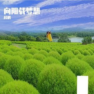 向阳燃热血