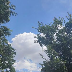 视频提取音频_我还有点小糊涂1660727004597