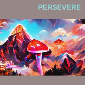 Persevere