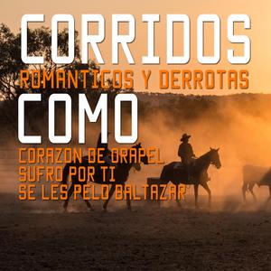 La Chaparrita De Oro