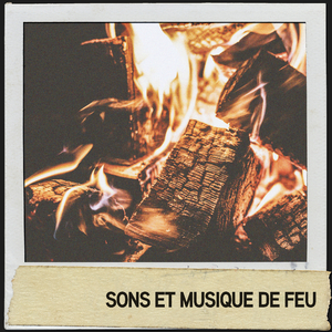 Techniques musicales et respiratoires