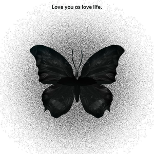 来不及爱你 （翻唱）