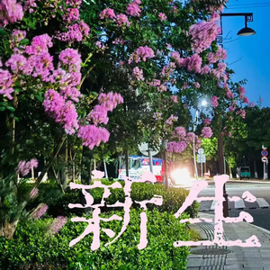 碎符记