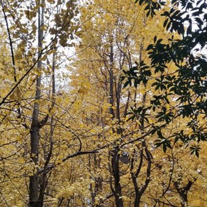 风所拂过的土地