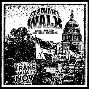 Mtf (Murderous Trans Fury)