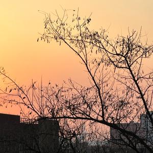 无字天书（cover JonyJ ）