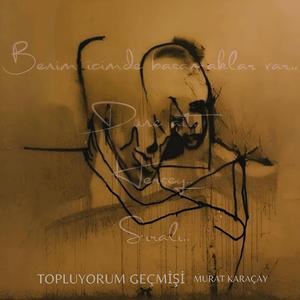 Topluyorum Geçmişi