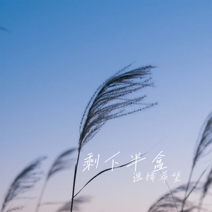 剩下半盒