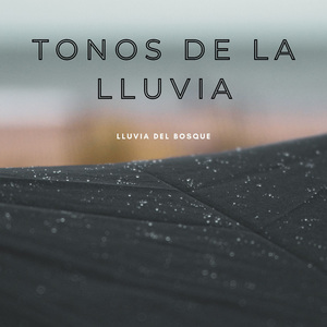 Ayudas De Lluvia