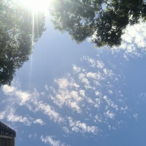 我希望我能给予你