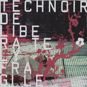 Everything I Cannot Have