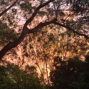 生日一定要快乐