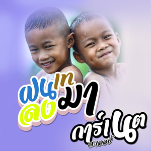 ฝนเทลงมา