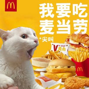 莱斯特小姐