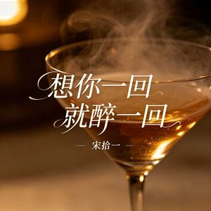 想你一回就醉一回