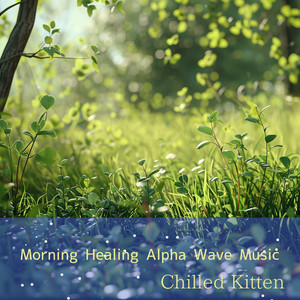 A Pause for Reflection