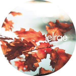 Baumgartner (Original Mix)