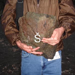 PARASITE (NOTALEX NOTSUPICA Remix)