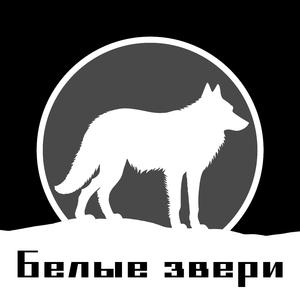 Белые звери инструментал (instrumental)