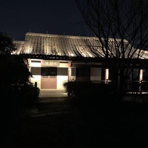 红豆