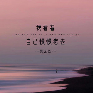 我看着自己慢慢老去