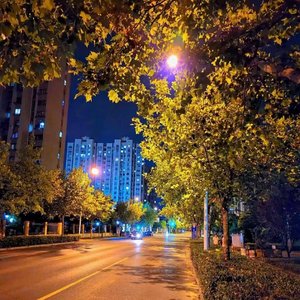 迷途星光