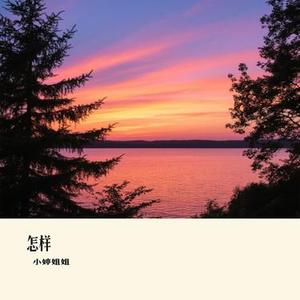 怎样 (Cover 允上)