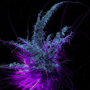 АПАТИЯ (Prod. by LUWR)