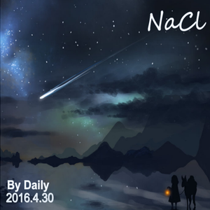 NaCl（Original Mix）