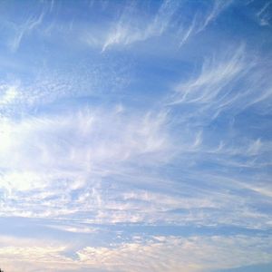 我们的悲哀平铺直叙