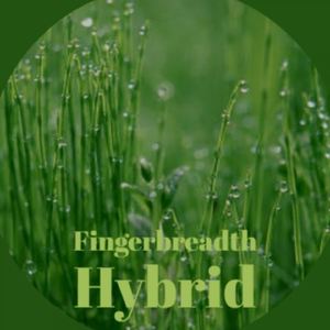 Fingerbreadth Hybrid