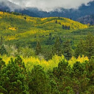 金南玲-逆流成河（小糖果883 remix）