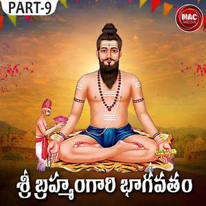 BRAMAHAM GARI BAGAVATHAM, Pt. 9