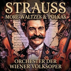 Accellerationen Walzer, Op. 234