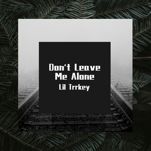 Don't Leave Me Alone 伴奏