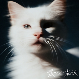 嘿～小家伙