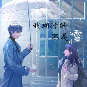 我期待的不是 雪