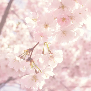 いっぱいありがとう ～こころをこめて～