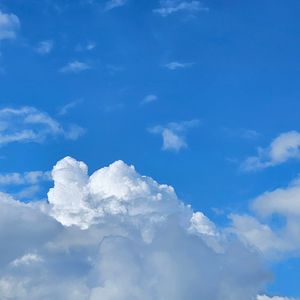 summer,blue sky,clouds and else...