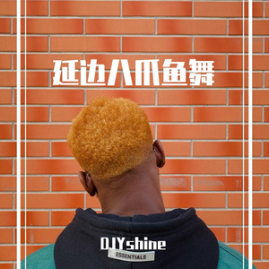 FFAG-Greg Parys-Why Don't We Just （延边八爪鱼)（DJYshine / FFAG remix）
