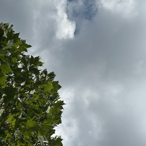 公平