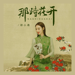 那时花开 (伴奏)