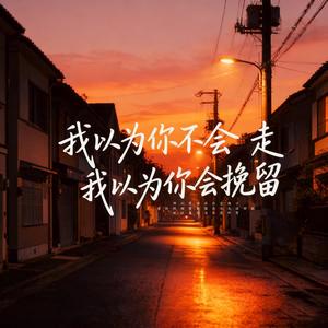 我以为你不会走 我以为你会挽留