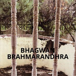 Brahmarandhra